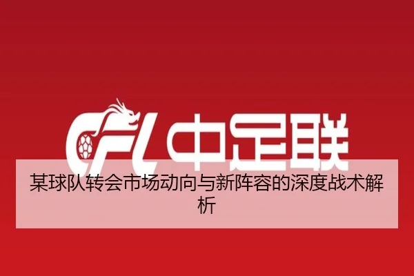 某球队转会市场动向与新阵容的深度战术解析